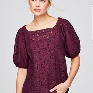 Cute Loft Lace Top